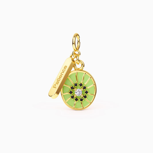 Fruits of Spirit Patience Kiwi Charm - vanimy